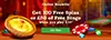 100fs-roulette banner